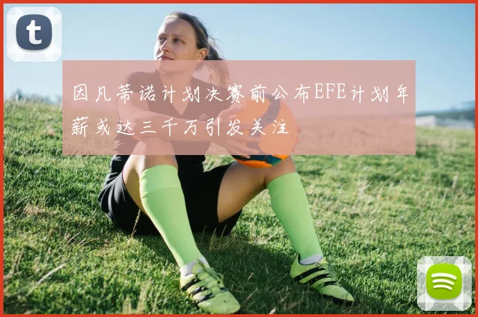 因凡蒂诺计划决赛前公布EFE计划年薪或达三千万引发关注